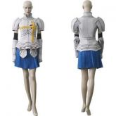 (cms_9) Cosplay Erza Scarlet - Fairy Tail
